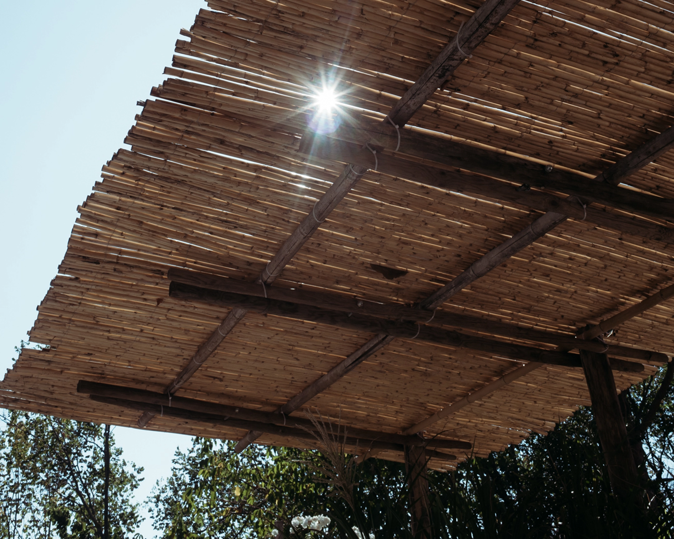 Sonnenstrahlen durch Bambusdach