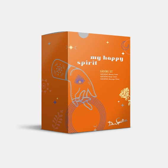 Dr. Spiller Gaoxing Set Verpackung