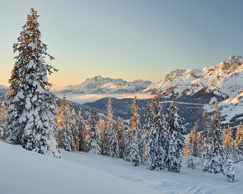 Schnee Natur